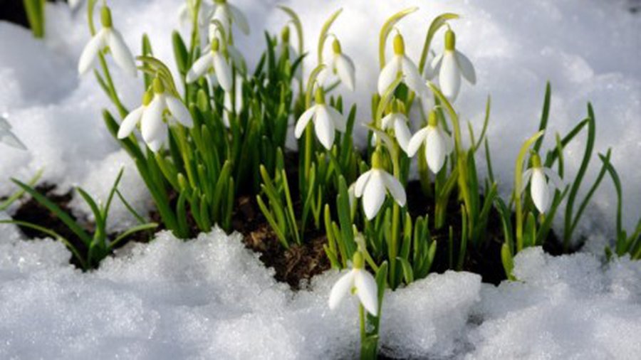 Синоптики: тепло пришло ненадолго - Литва и страны Балтии