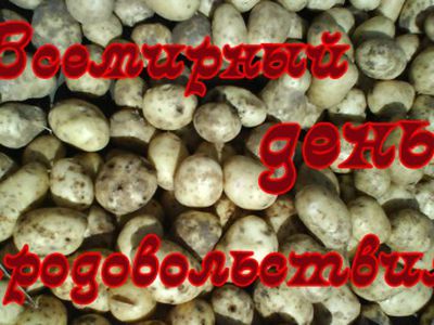 Cегодня отмечают Всемирный день продовольствия  - В Мире