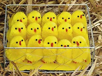 Кому лучше живется в странах Балтии?                 - Литва и страны Балтии