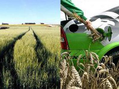 В Литве будет создана биржа биомассы - Энергетика