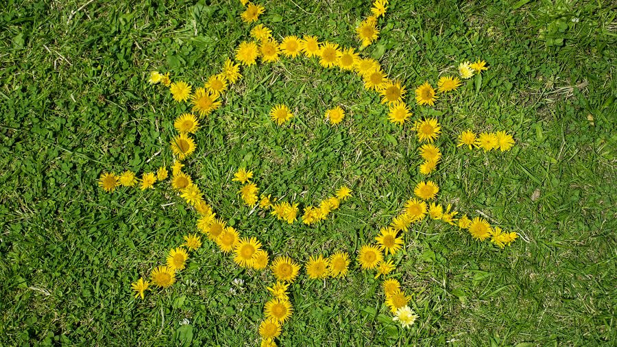 Новая неделя особых перемен не принесет, похолодает в выходные - Литва и страны Балтии