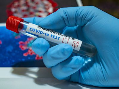 Правительство Литвы изменило требования для приезжающих в страну - Литва и страны Балтии