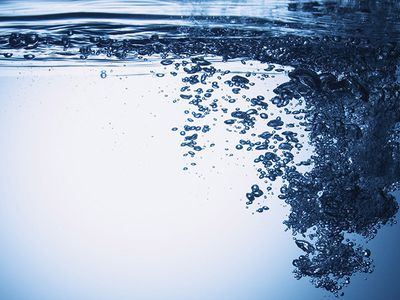 В Литве появится пятый курорт - Литва и страны Балтии