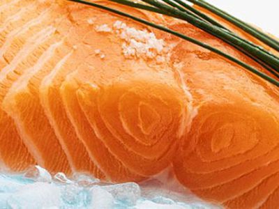 Топ-6 наиболее полезных сортов рыбы - Наука и здоровье