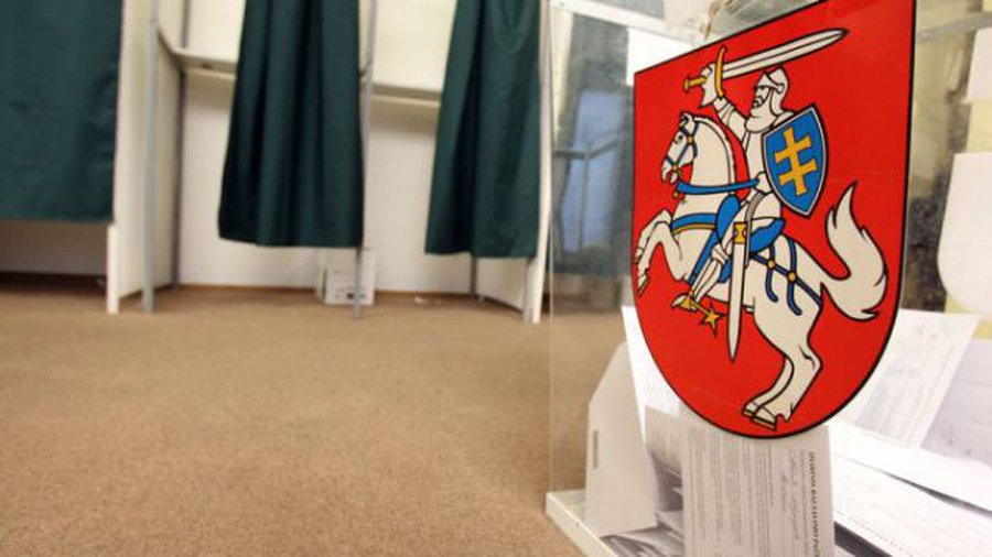 В Литве начинается кампания президентских выборов - Литва и страны Балтии