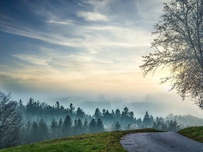 А. Дулькис: правительство приняло решение не продлевать ограничение на передвижение между самоуправлениями - Литва и страны Балтии