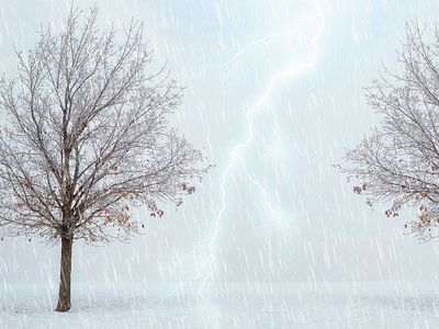 Климатолог рассказала, что ждет Литву в будущем: зимы точно не будут такими, как раньше - Это интересно