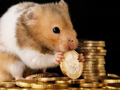 Рабочая сила в Литве одна из самых "дешевых" в Европе - Литва и страны Балтии