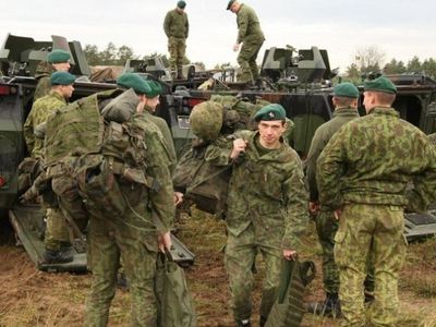 Р.Кароблис: право воинов-добровольцев быть избранными - прежде всего вопрос реализации прав гражданина - Литва и страны Балтии