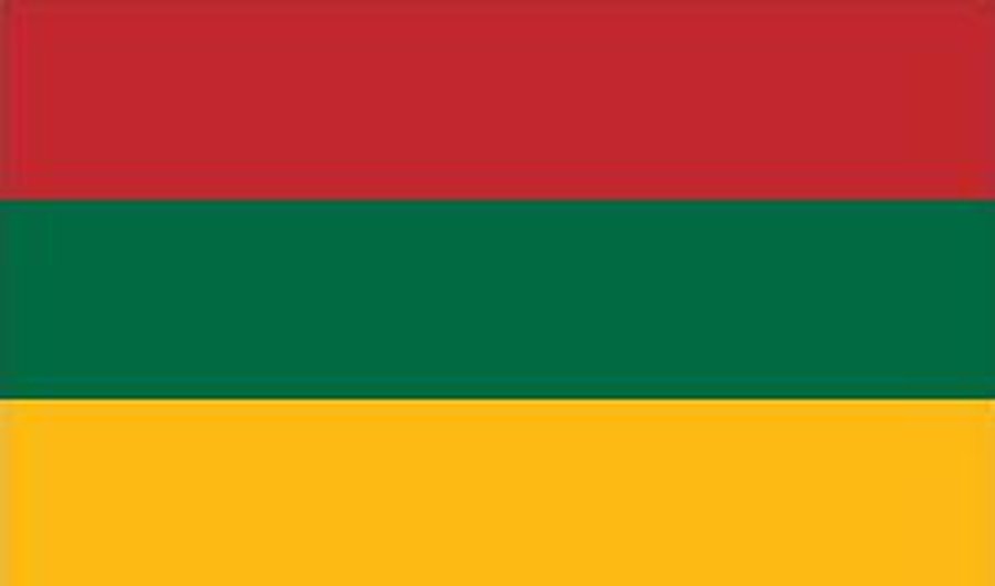Эстонский МИД перевернул литовский флаг - Литва и страны Балтии