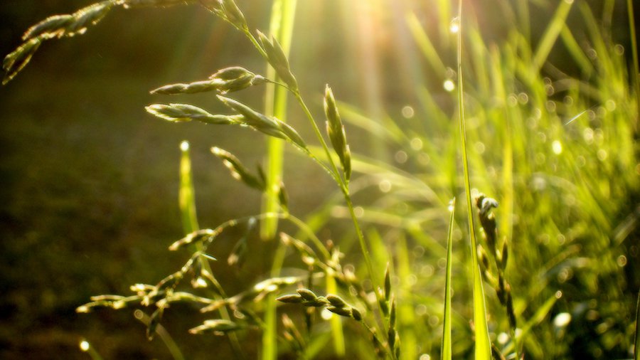 Orai: į Lietuva pagaliau ateina vasara - Lietuva ir Baltijos šalys