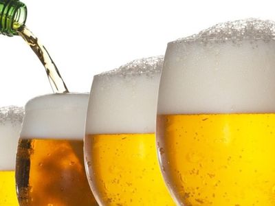 Пиво и вино оказались полезными - Наука и здоровье