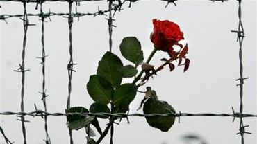 Сегодня в мире отмечается День освобождения узников фашистских концлагерей                               