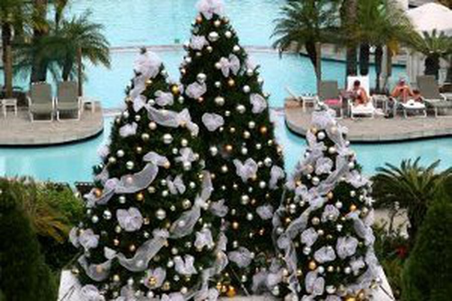 Как в праздники отдыхали политики и принцы                                 - Хобби, отдых и развлечения