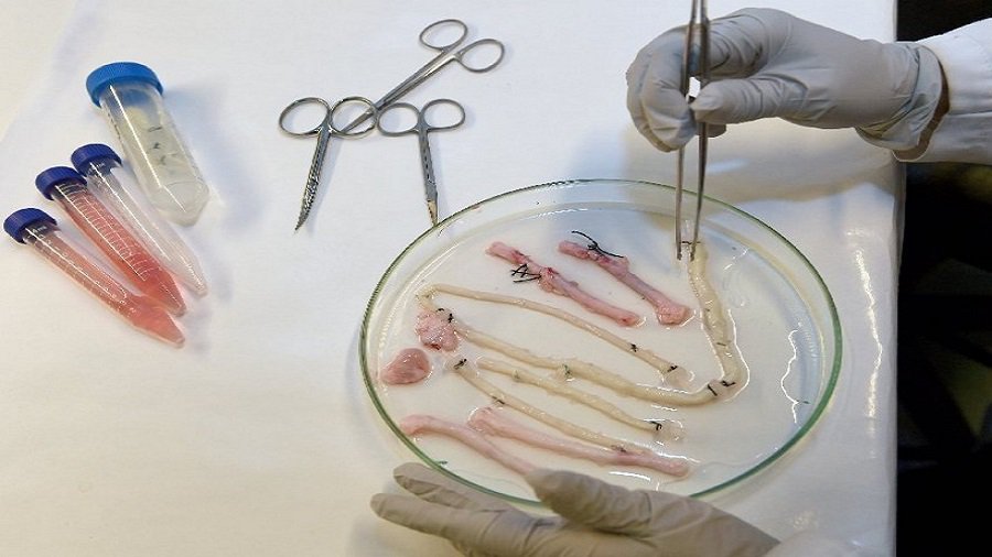 В Литве будут проводиться уникальные клинические исследования - Наука и здоровье