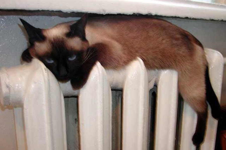 «Про насосы и колеса» - В Висагинасе