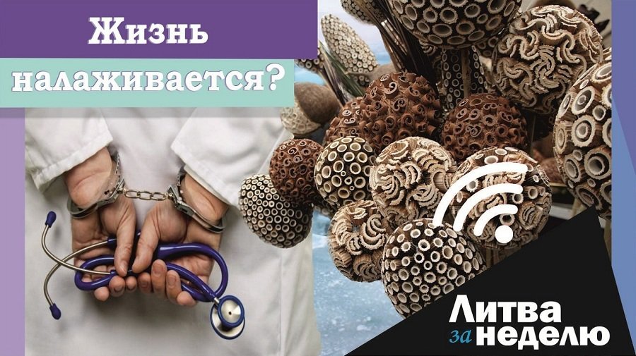 Угроза от России и Китая, коррупция в медицине и одежда даром: Литва за неделю (видео) - Литва и страны Балтии