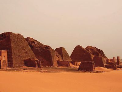 Выявлен древнейший случай рака - Наука и здоровье