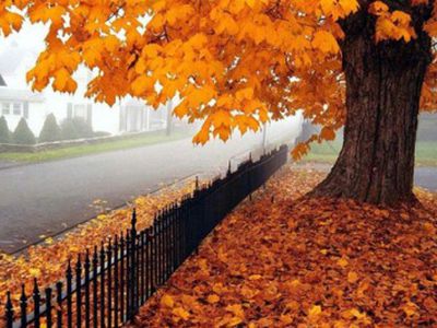 Ilgajį savaitgalį sulauksime lietaus, bet šalta nebus - Lietuva ir Baltijos šalys