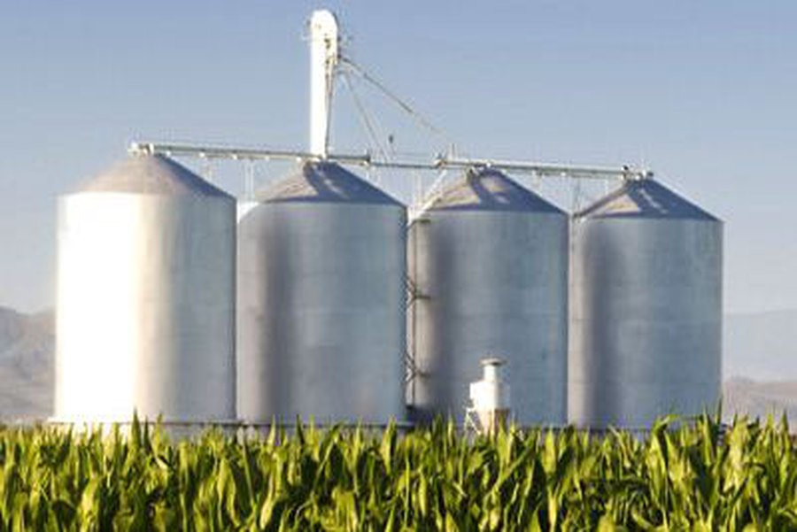 Экономист: АЭС даст Литве тысячу рабочих мест, использование биотоплива — 200 тысяч                                 - Энергетика