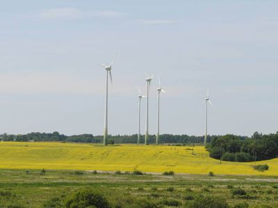«Ветряки» для отвода глаз в Литве, амбиции Латвии и навязанная альтернатива Эстонии: Как в Прибалтике развивается «зеленая» энергетика                 - Энергетика