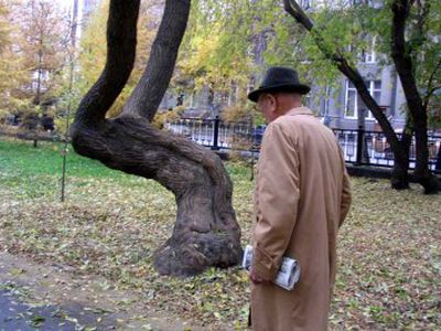 Į tarybą Kupiškyje bus renkami senoliai - Lietuva ir Baltijos šalys