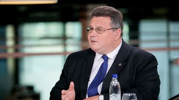 Глава МИД Литвы призывает РФ воздержаться от избыточной силы против протестующих
