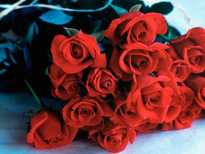 С Днем рождения! - Поздравления