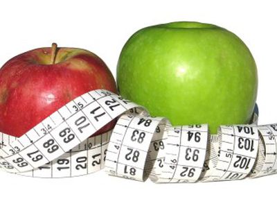 Как выработать стиль питания, который поможет похудеть - Наука и здоровье