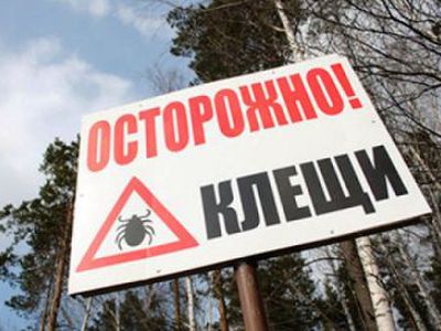 Клещи атакуют грибников практически на всей территории Литвы

 - Наука и здоровье