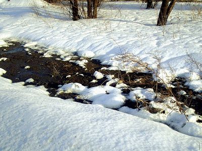 Морозы ушли: с каждым днем будет все теплее - Литва и страны Балтии