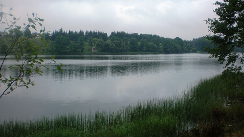 В Литве может исчезнуть треть озер
