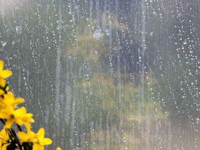 Po šilto ir sauso savaitgalio - lietus visoje šalyje - Įdomu žinoti