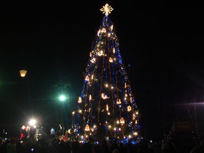 Фото у елки на память                                                                                                                                  - Происшествия и криминал