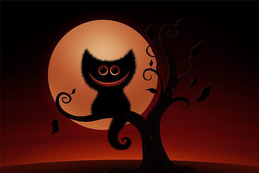 Планета отмечает Всемирный день кошек - Хобби, отдых и развлечения