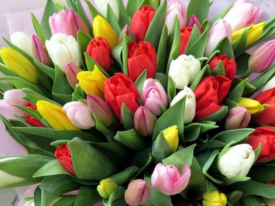 12 мая -  Международный день медицинской сестры - Поздравления