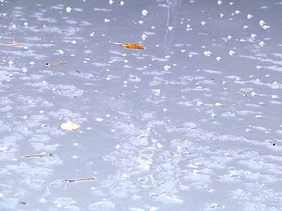 Горячая новость: Начинается отопительный сезон 2011-2012                                                                                               - В Висагинасе