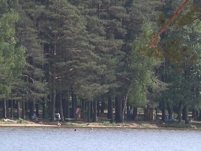 Горячая линия ТТС: Займутся ли благоустройством пляжа в 3-ем микрорайоне? - В Висагинасе