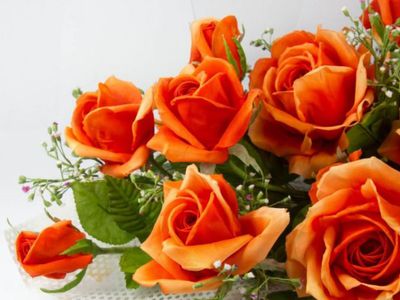 С Днем рождения! - Поздравления