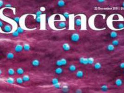 Журнал Science назвал самое значимое научное достижение года                                 - Наука и здоровье