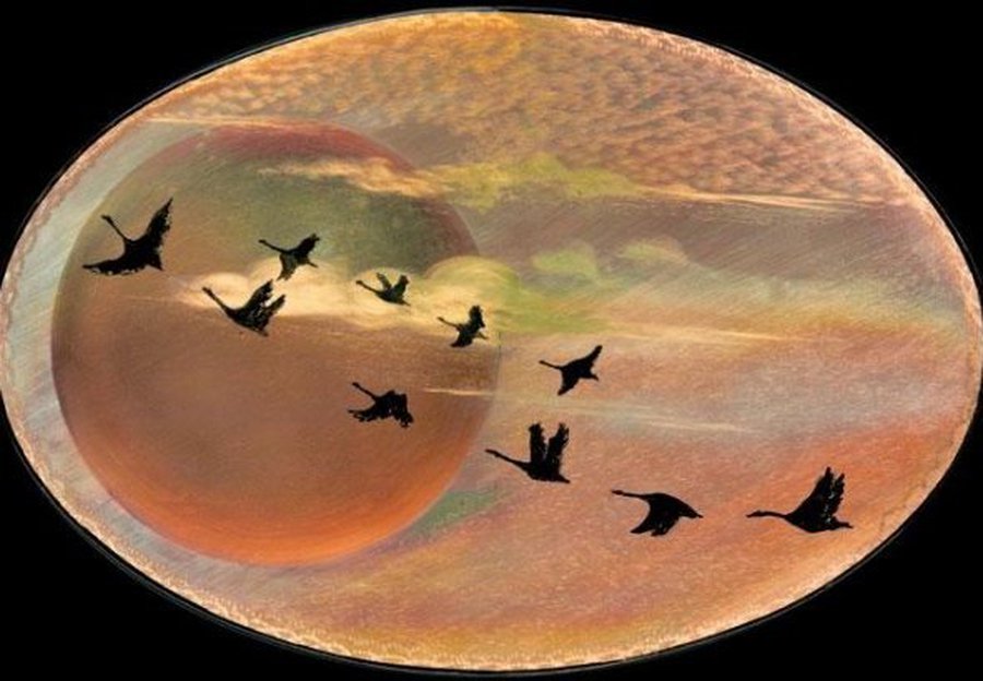 За год эмиграция из Литвы выросла в полтора раза - Литва и страны Балтии