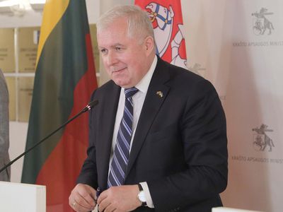 Парламентарий обратилась в КНБО по поводу супруги А. Анушаускаса: призывает министра уйти - Литва и страны Балтии