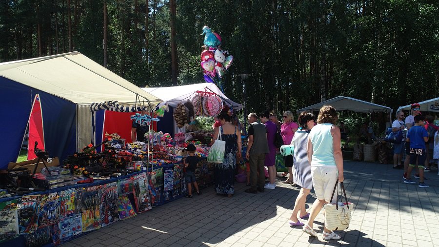 Предупрежден – значит вооружен - В Висагинасе