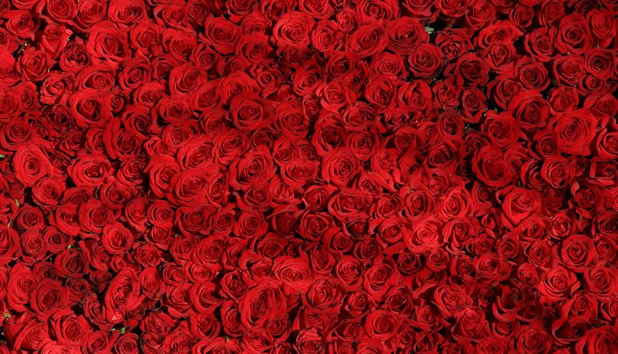 Композитор Раймонд Паулс заявил о готовности уйти со сцены - Литва и страны Балтии