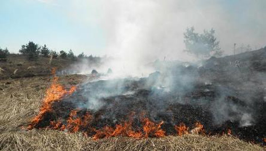 Sulaikyti padegėjai – kentės tėvai - Įvykiai ir kriminalas