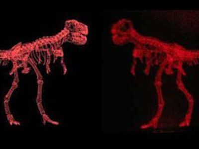 Японские ученые создали голографическую видеокарту - IT новости