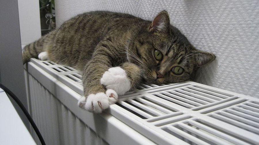 Проголосовали против реновации и лишились компенсации. Можно ли исправить ситуацию? (видео) - В Висагинасе