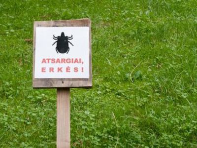 Предупреждение: в лесах очень много клещей - Литва и страны Балтии