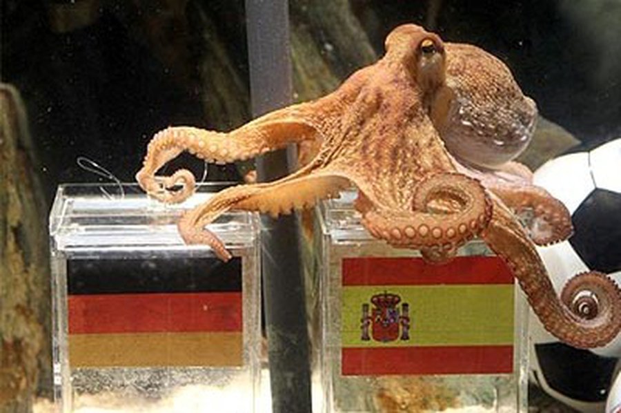 Умер знаменитый осьминог Пауль - Хобби, отдых и развлечения