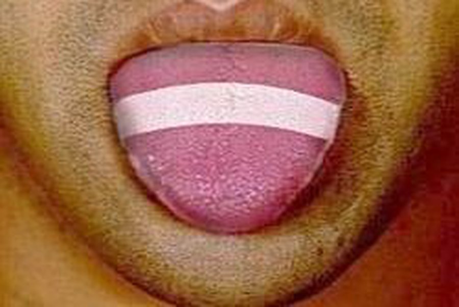 Профессор Тайванс: латышский язык скоро вымрет                                 - Культурные и спортивные мероприятия